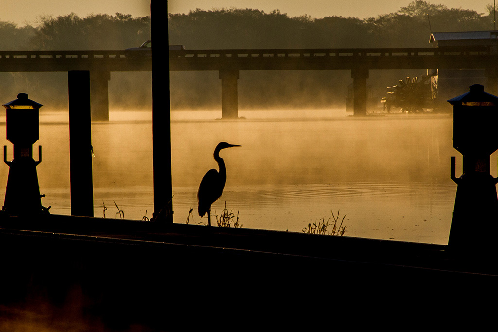 Foggy St johns River at Volusia County